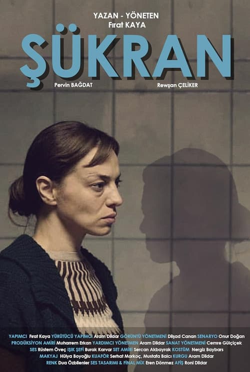 Poster for Şükran
