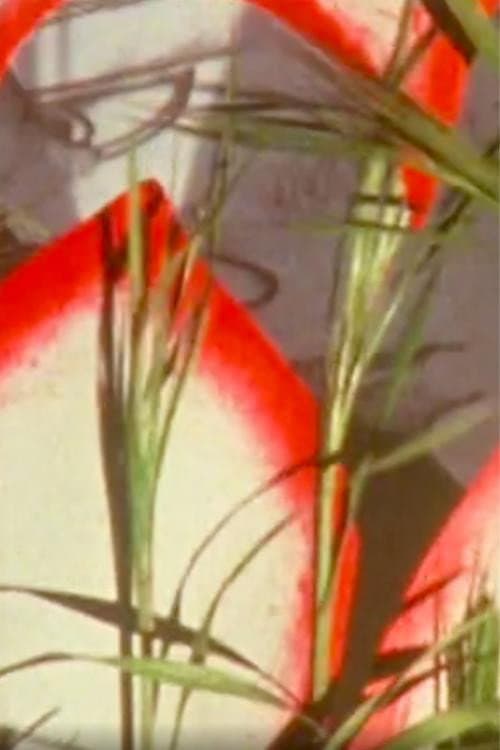 Poster for Monodie parsemée