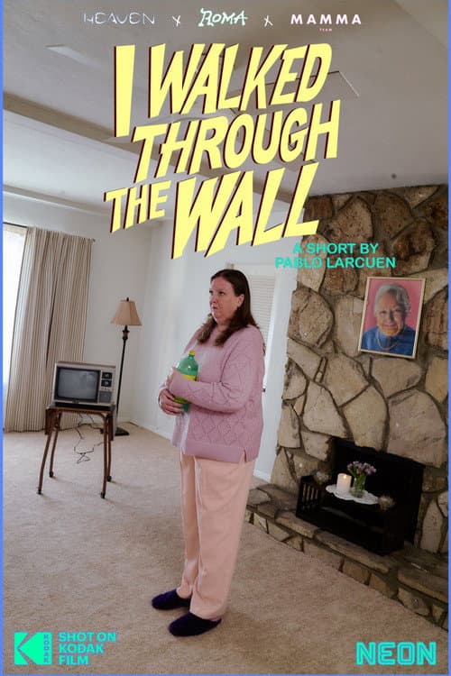 Poster for I Walked Through the Wall
