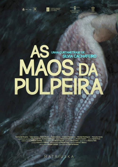 Poster for As maos da pulpeira