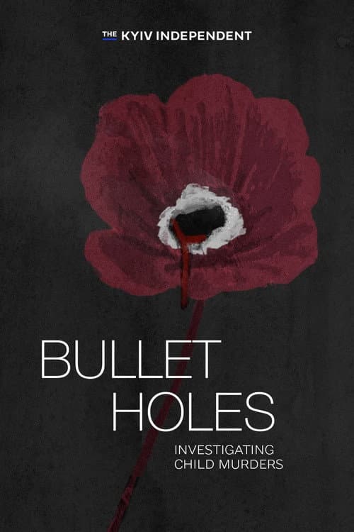 Poster for Bullet Holes. Investigating Child Murders