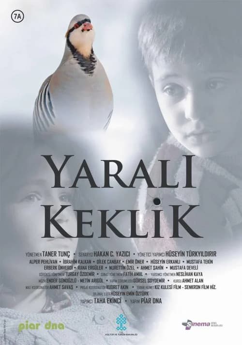 Poster for Yaralı Keklik