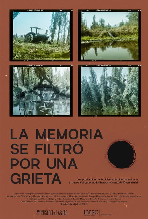 Poster for La memoria se filtró por una grieta