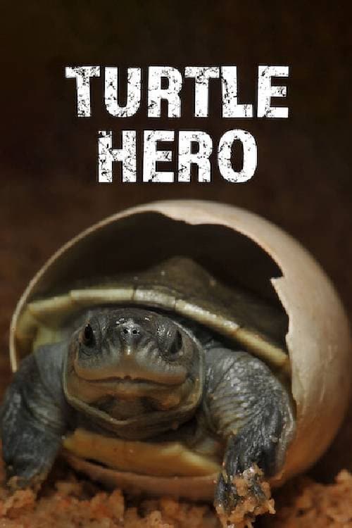 Poster for Turtle Hero