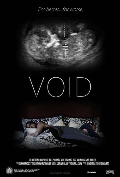 Poster for Void