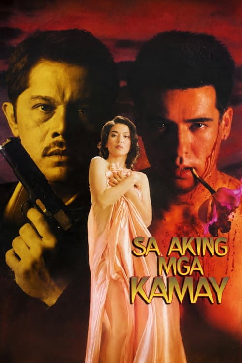 Poster for In My Own Hands
