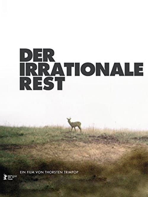 Poster for Der irrationale Rest