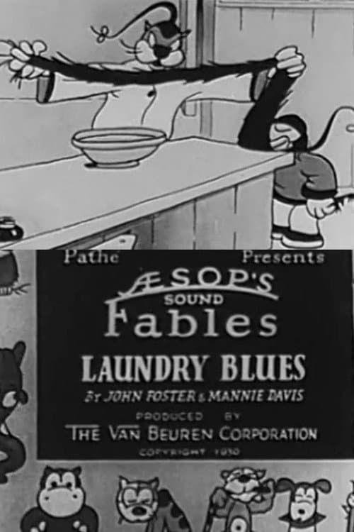 Poster for Laundry Blues