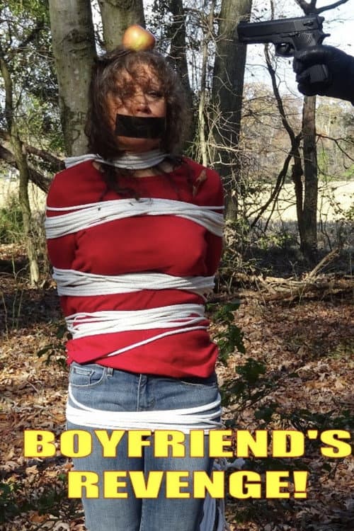 Poster for Boyfriend's Revenge