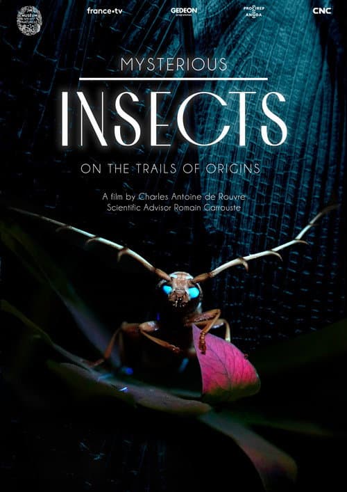 Poster for Mysterious Origins of Insects