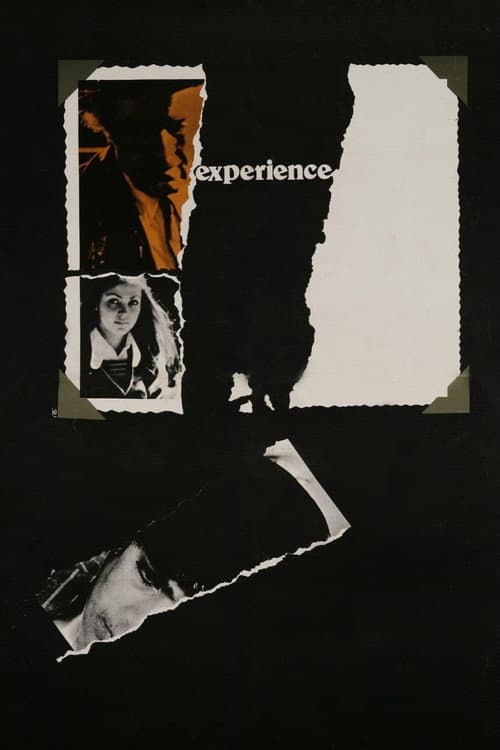 Poster for Experience