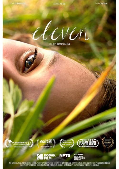 Poster for Eleven