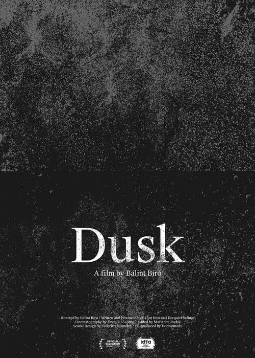 Poster for Dusk