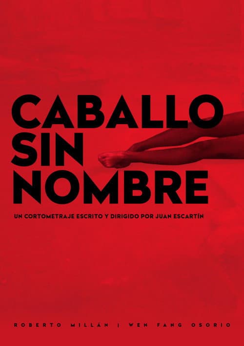 Poster for Caballo sin Nombre