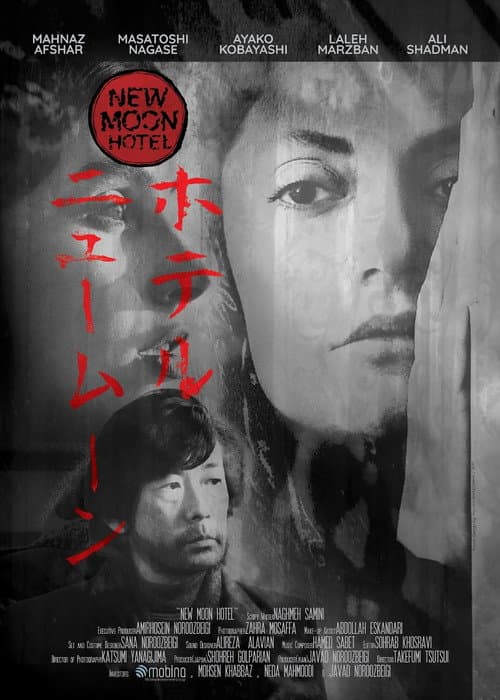 Poster for Hotel New Moon