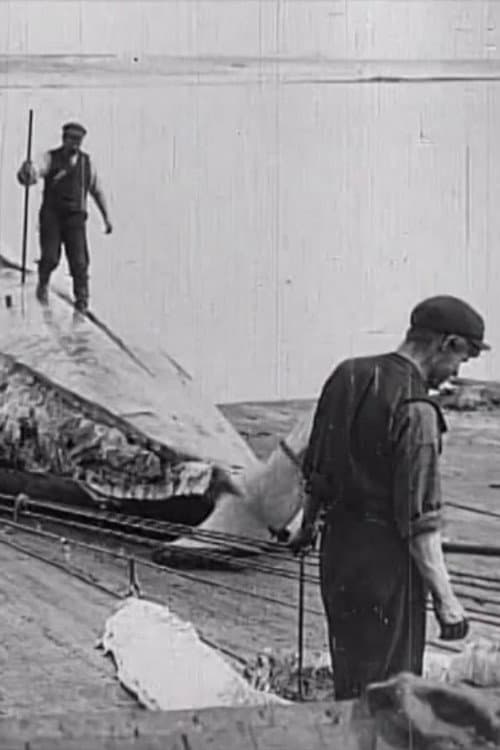Poster for Whaling Afloat and Ashore