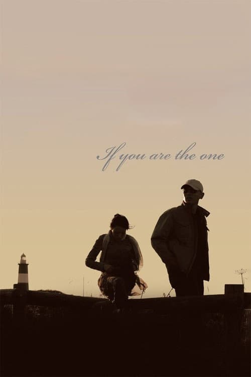 Poster for If You Are the One