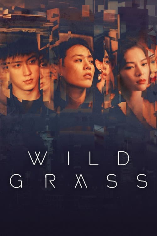 Poster for Wild Grass