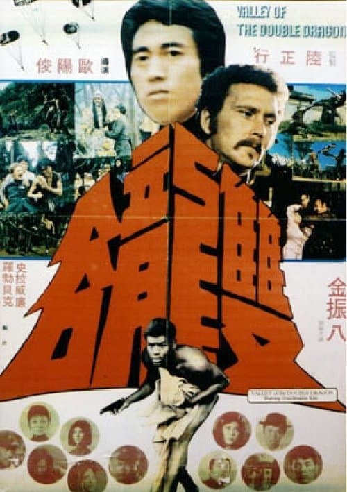 Poster for Valley of the Double Dragon