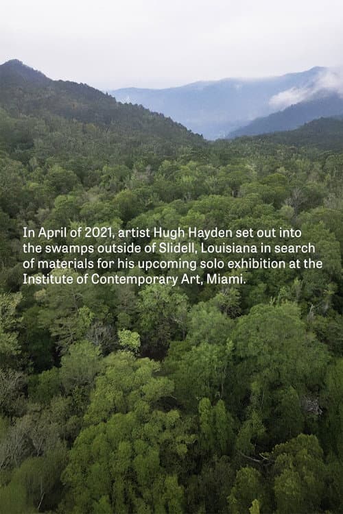 Poster for Hugh Hayden: Skeletons in the Swamp