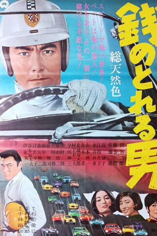 Poster for A Man Worth the Money