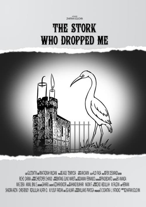 Poster for The Stork Who Dropped Me
