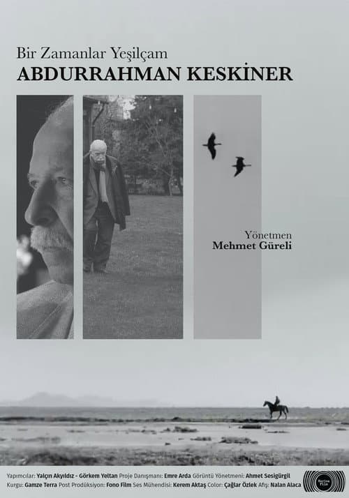 Poster for Once Upon a Time Yeşilçam: Abdurrahman Keskiner