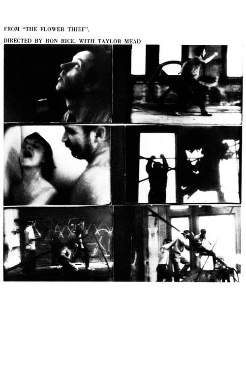 Poster for The Flower Thief