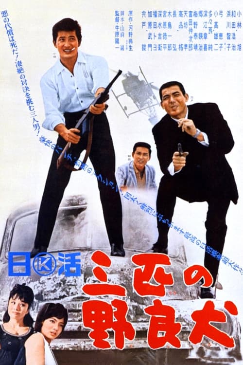 Poster for Three Stray Dogs