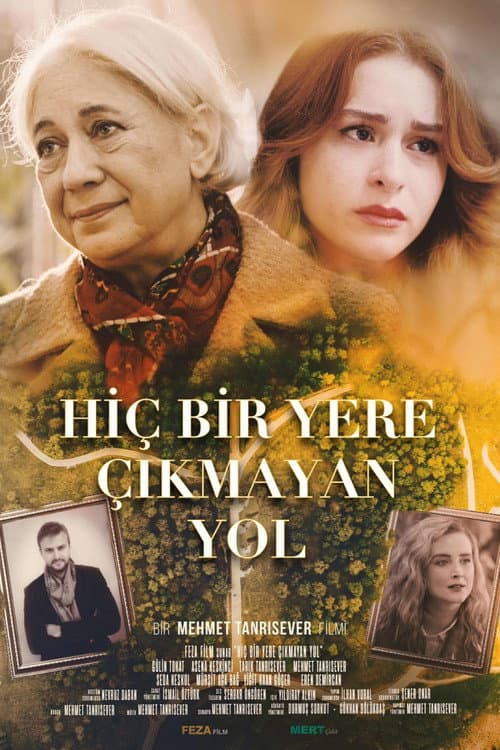 Poster for Hiçbir Yere Çıkmayan Yol
