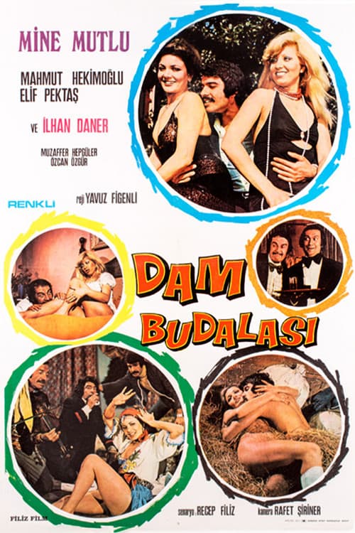 Poster for Dam Budalası