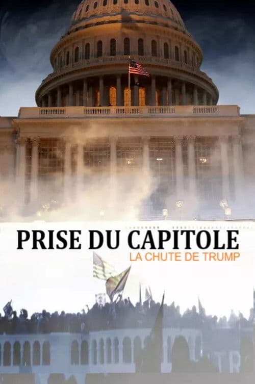 Poster for Prise du Capitole - la chute de Trump