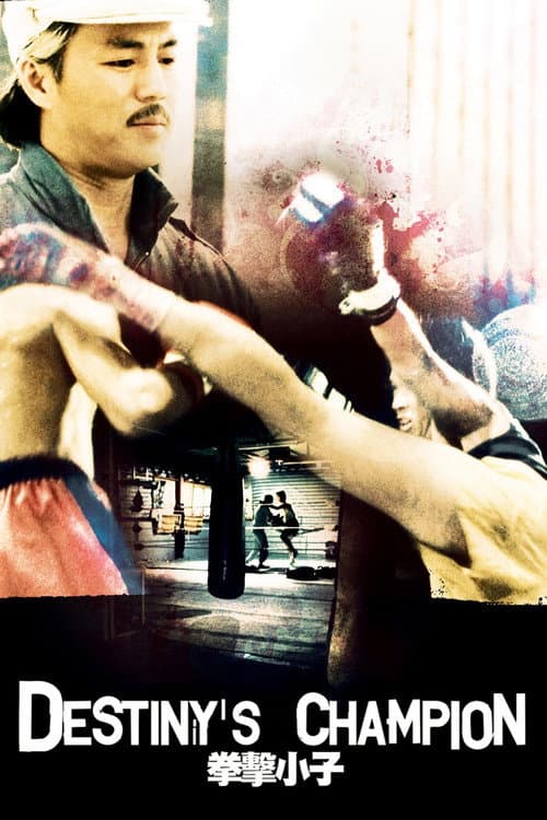 Poster for Destiny's Champion