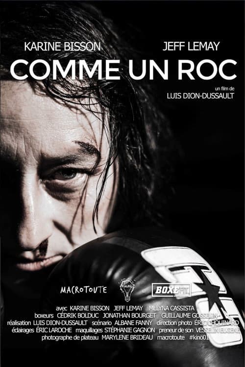 Poster for Like a Rock