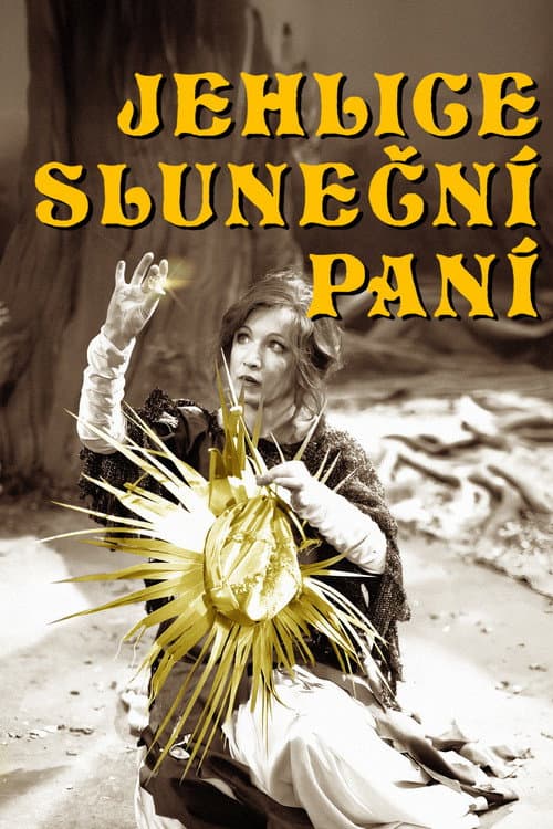 Poster for Jehlice Sluneční paní