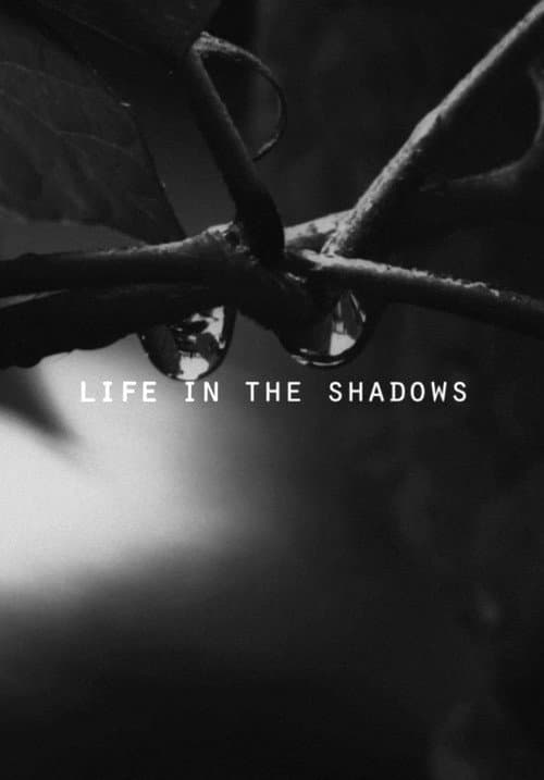 Poster for Life in the Shadows