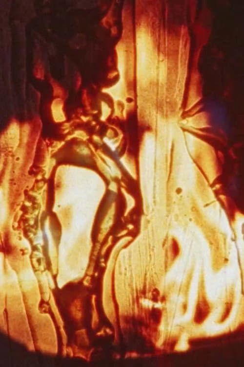 Poster for Friendly Fire