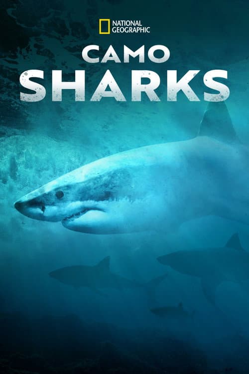 Poster for Camo Sharks