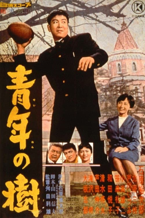 Poster for The Day of Youth