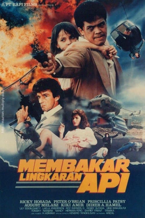 Poster for Double Crosser