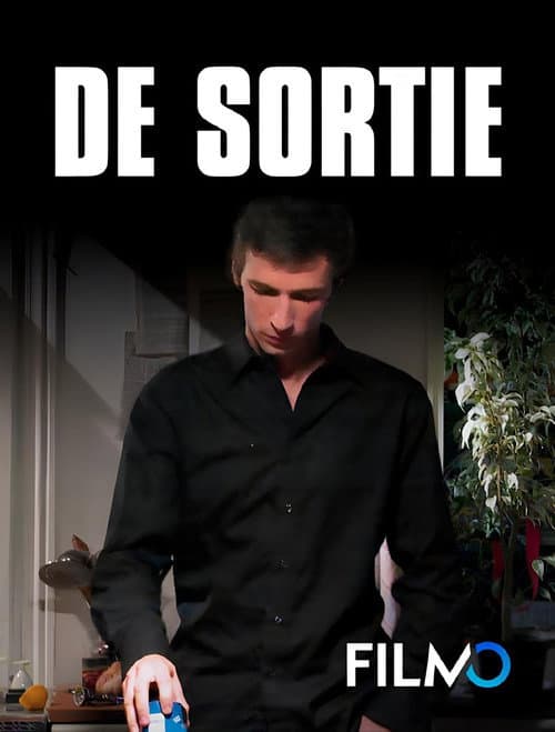 Poster for De sortie