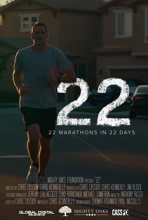 Poster for 22