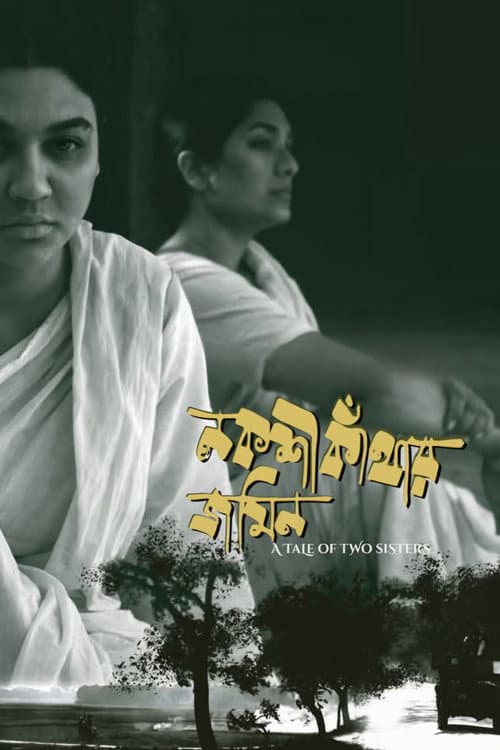 Poster for A Tale of Two Sisters