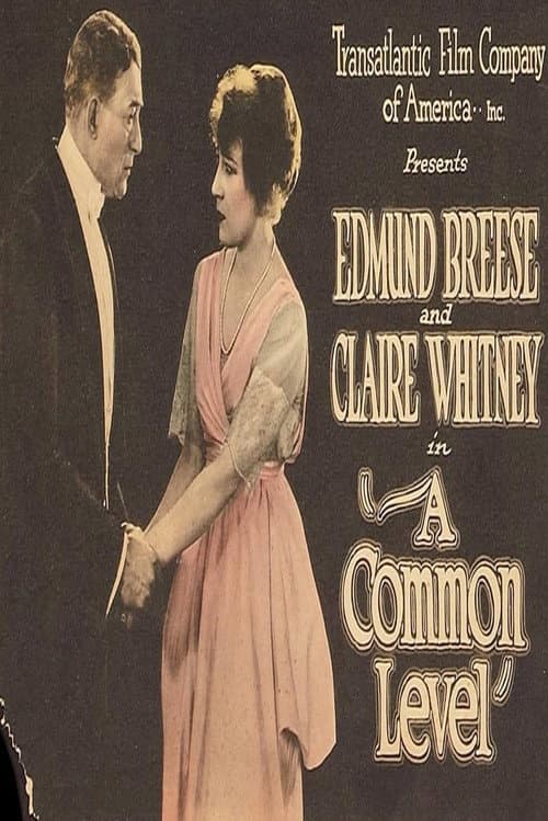 Poster for A Common Level