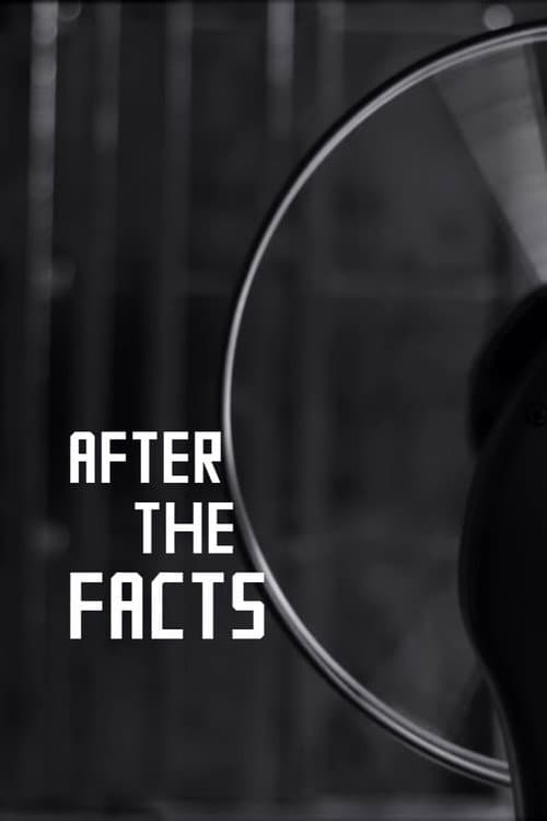 Poster for After the Facts