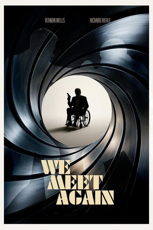Poster for We Meet Again