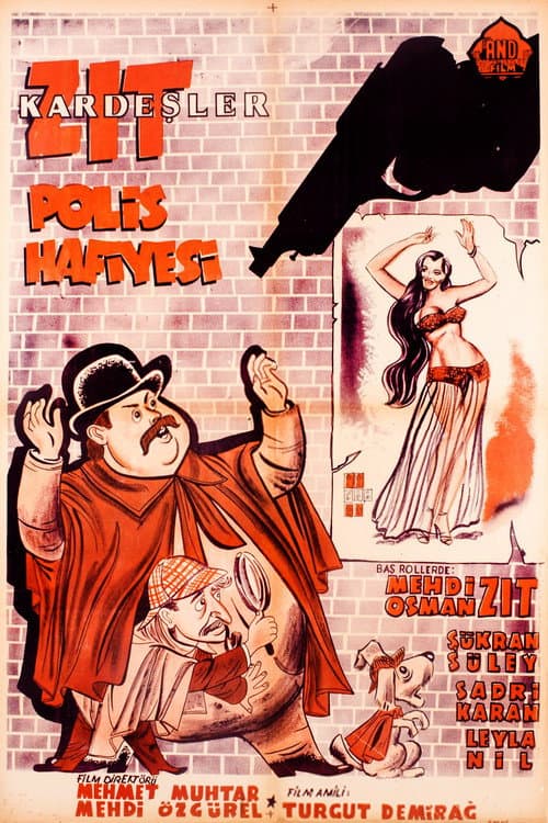 Poster for Zıt Kardeşler Polis Hafiyesi