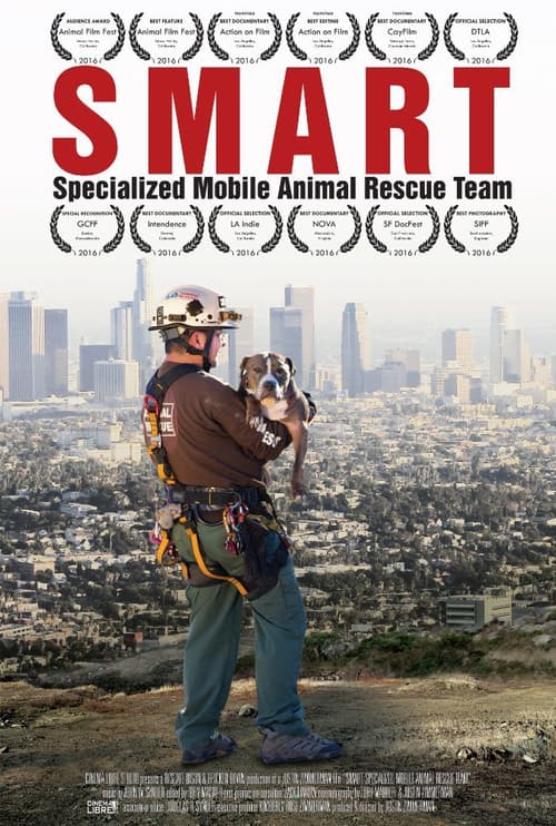 Poster for Smart