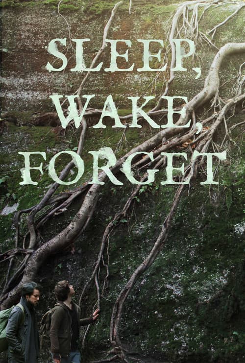 Poster for Sleep, Wake, Forget