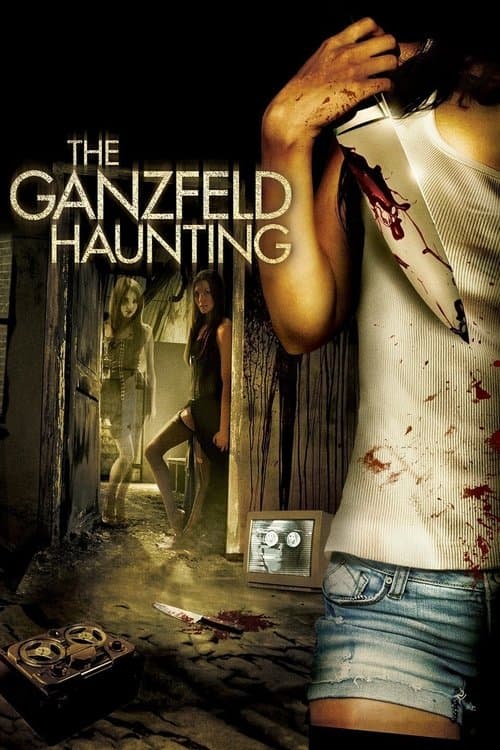 Poster for The Ganzfeld Haunting